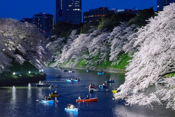 Cherry Blossom Private Tour - Zojo-ji Temple pairs blossoms with Tokyo Tower