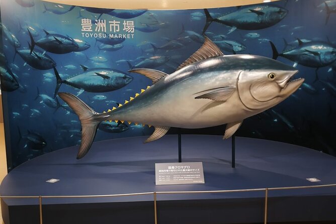Complete Tuna Auction & Toyosu Fish Market Tour - Meeting Fumi before sunrise