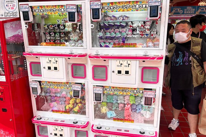 Crazy about Anime! Private Full Day Tokyo Manga Anime Tour by Chartered Vehicle - Nakano Broadway: Figures, Manga, Idols, and Toys