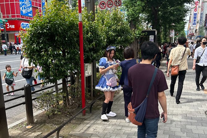 Crazy about Anime! Private Full Day Tokyo Manga Anime Tour by Chartered Vehicle - What the Private Guide Adds