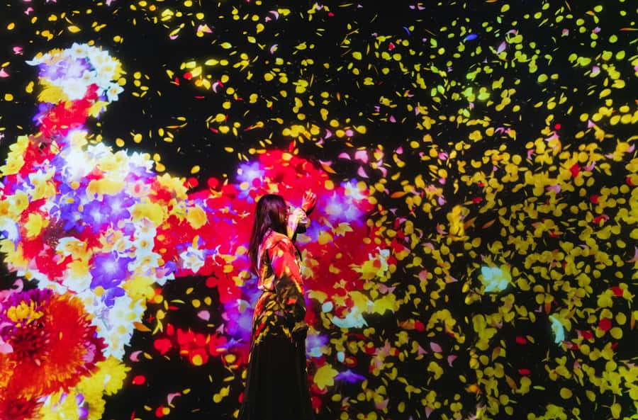 Crowd-Free Tokyo : teamLab, Roppongi Hills Views & NACT - A four-hour look at Tokyo’s new cultural center
