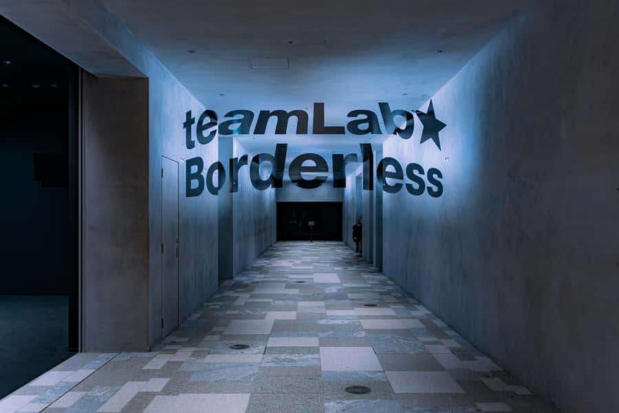 Crowd-Free Tokyo : teamLab, Roppongi Hills Views & NACT - Roppongi Hills: Tokyo from above