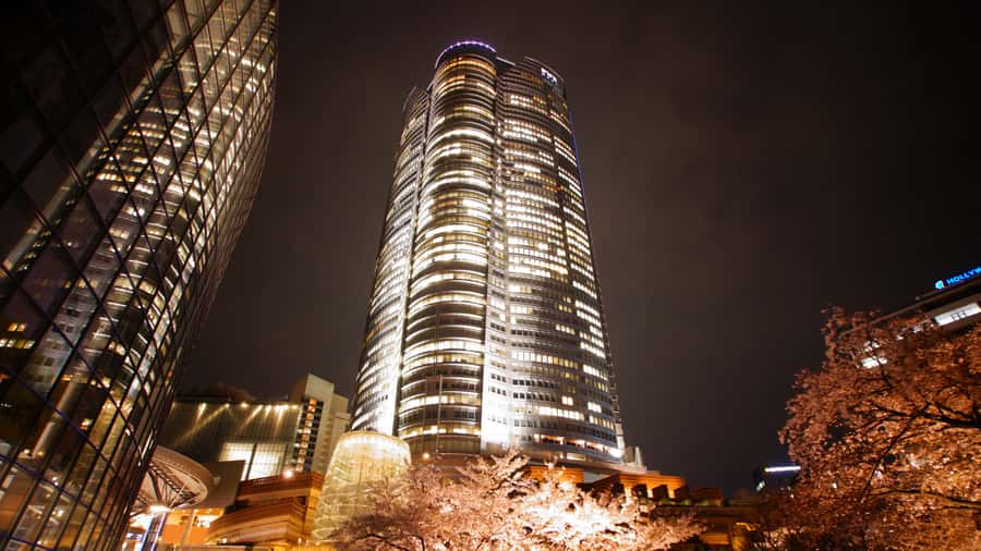 Crowd-Free Tokyo : teamLab, Roppongi Hills Views & NACT - Azabudai Hills: a look at Tokyo’s future