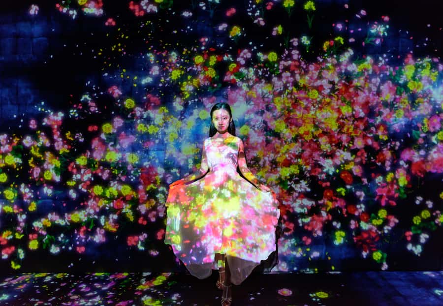 Crowd-Free Tokyo : teamLab, Roppongi Hills Views & NACT - What the $129 price really covers