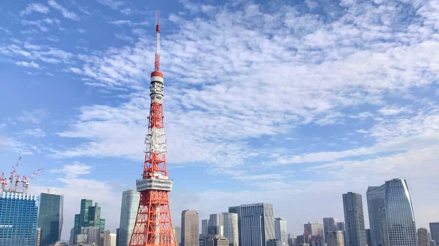 Crowd-Free Tokyo : teamLab, Roppongi Hills Views & NACT - Walking demands and practical preparation