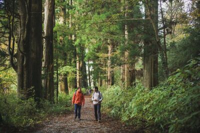 Custom Private Tour in Hakone with a Certified Local Guide - Starting at Hakone-Yumoto at 9:00 a.m.