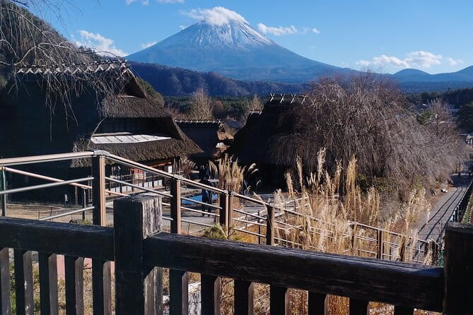 Customisable Mt.Fuji Private Day Trip, English Speaking Driver - Key points to know before booking