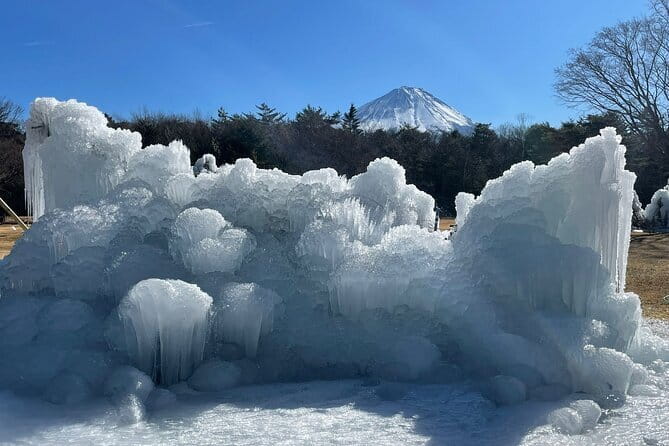 Customisable Mt.Fuji Private Day Trip, English Speaking Driver - Why a private Fuji day makes sense from Tokyo