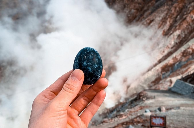Customizable Private Full Day Hakone Tour by car - Hakone Ropeway and the steaming Owakudani valley