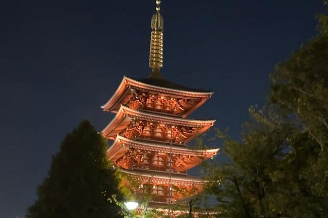 Customizable Private Tokyo Trip with an English Speaking Driver - Why a Private Vehicle Helps in Tokyo