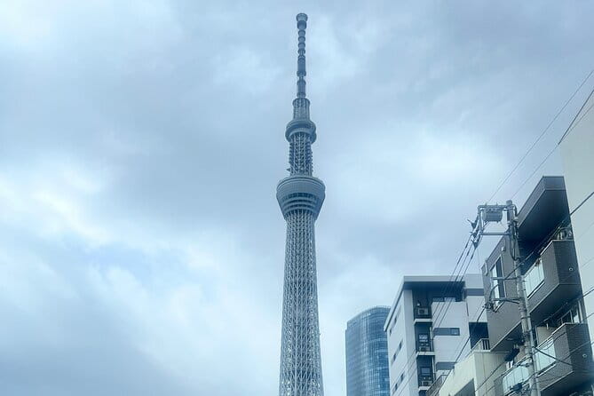 Customizable Private Tokyo Trip with an English Speaking Driver - Imperial Palace Gardens and Moats