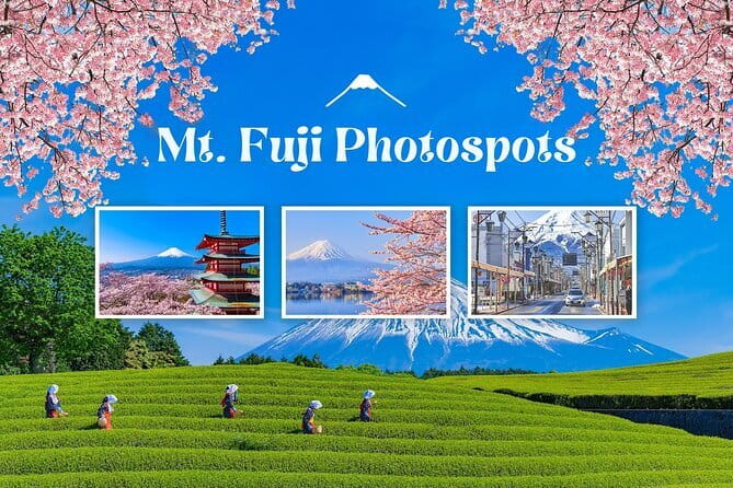 Customizable Tokyo Tour - Who will get the most from this private tour