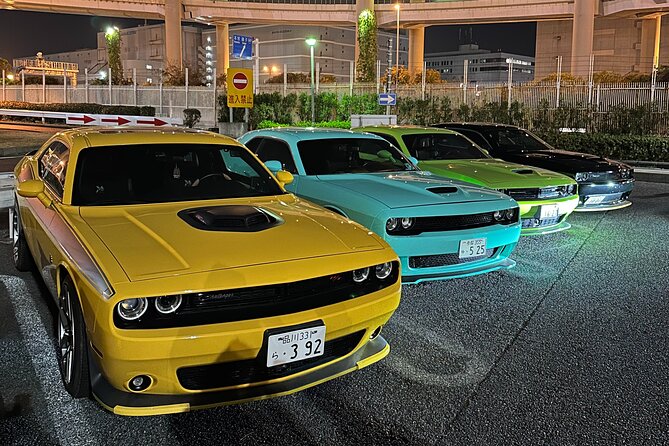 Daikoku Parking Tokyo Drift & APIT Car Meet JDM Culture Tour - The guides and the value of a private car
