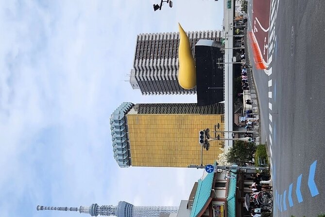 Day Private City Tour of Tokyo with English speaking driver - Shinjuku’s Godzilla and giant cat are fast photo stops