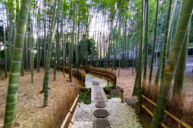 Day Trip to Kamakura & Enoshima: Shrines, Seaside, Temples & Tea - Why this makes a strong Tokyo day trip