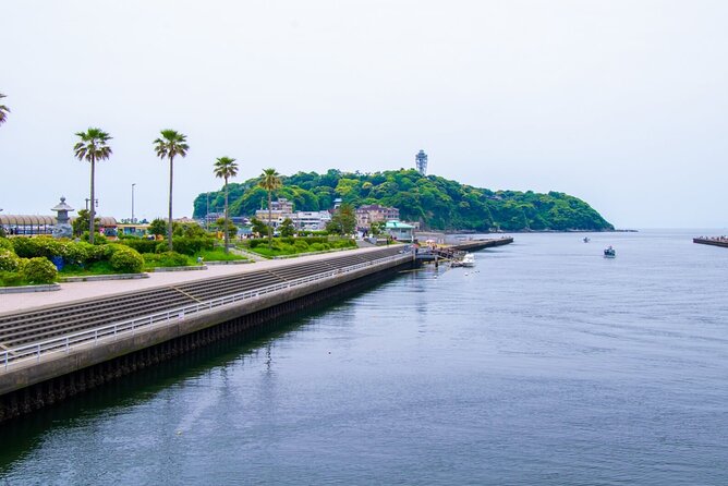 Day Trip to Kamakura & Enoshima: Shrines, Seaside, Temples & Tea - What the included price really covers