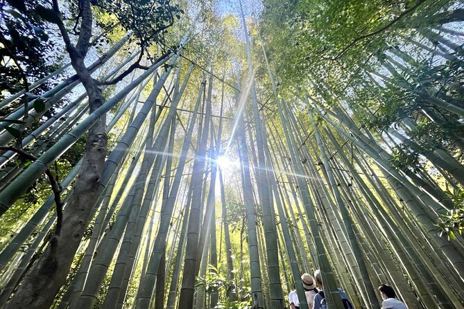 Day Trip to Kamakura & Enoshima: Shrines, Seaside, Temples & Tea - The walking and timing you should expect