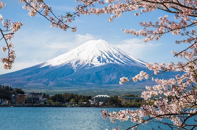 Day Trip To Mount Fuji and Hakone from Tokyo with English Guide - Hakone Shrine and the red torii at Lake Ashi