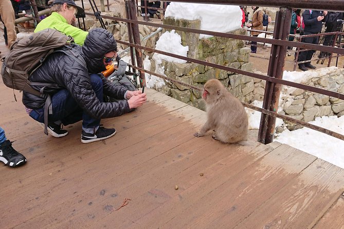 Day Trip to See the Snow Monkeys from Shinjuku with Lunch Buffet - A generous buffet stop in Suzaka