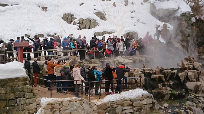 Day Trip to See the Snow Monkeys from Shinjuku with Lunch Buffet - Walking into Jigokudani Snow Monkey Park