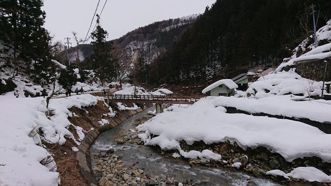 Day Trip to See the Snow Monkeys from Shinjuku with Lunch Buffet - The optional Shiga Kogen Roman Museum stop