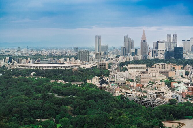 Discover Japanese Politics Over a Coffee in Tokyo - English interpretation keeps the exchange open