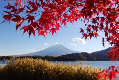 Discover Mt. Fuji 5th Station & Kawaguchiko Sightseeing Day Tour - Lunch near Fuji-Q Highland