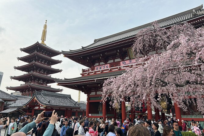 Discover the hidden gems of Tokyo:Private Tour with a Local Guide - Nihombashi, Ginza, and old Tokyo commerce