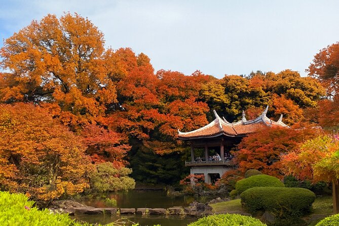 Discover the History of Shinjuku Gyoen – Private Walking Tour - Key points at a glance