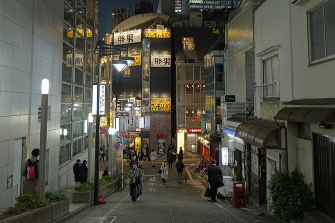 Discover Tokyo 3 Hour Customizable Private Walking Tour - Shinjuku: parks, drinking alleys, and high views