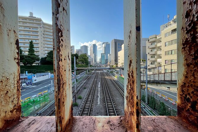 Discover Tokyo: 3-Hour Private Guided Photo Walking Tour - Odaiba’s open views and modern settings