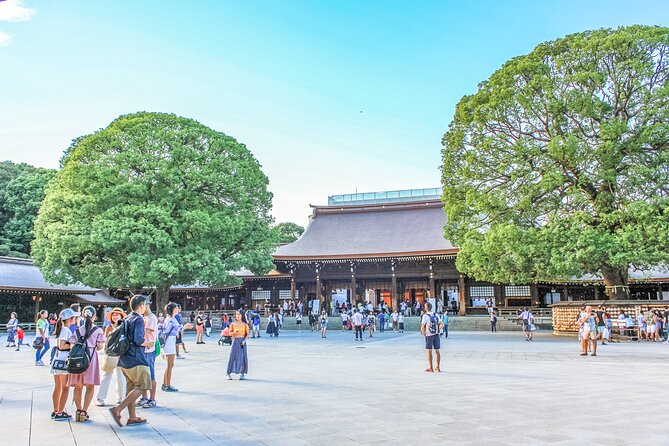 Discover Tokyo, Private Customized Tour with Expert Guides - Timing, transport, and the amount of walking