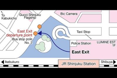 Dynamic Tokyo: Tokyo Tower, Tea Experience, Bay Cruise Day Tour - Imperial Palace: a short look at Edo-era foundations
