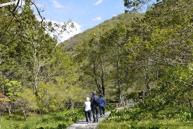 Easygoing Nature Walk in Hakone Tour - Learning the area at Hakone Visitor Center