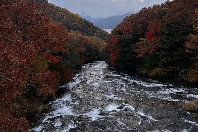English-speaking guided day tour of Nikko with a private vehicle - Why Nikko works so well as a private day trip