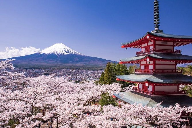 Enjoy Mt. Fuji View and free time shopping at Gotemba Outlets! - Key points to know before booking