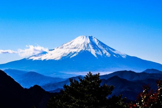 Enjoy Mt. Fuji View and free time shopping at Gotemba Outlets! - Arakura Fuji Sengen Shrine and its 300-plus steps