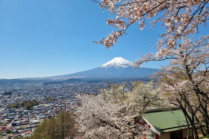 Enjoy Mt. Fuji View and free time shopping at Gotemba Outlets! - The 5th Station: mountain access with a practical catch