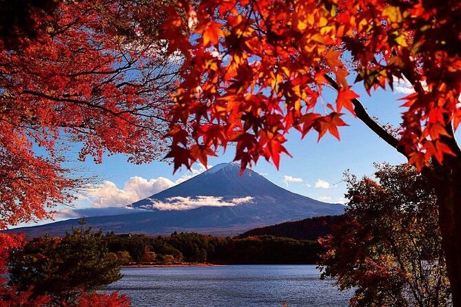 Enjoy Mt. Fuji View and free time shopping at Gotemba Outlets! - Transport, group size, and the real length of the day