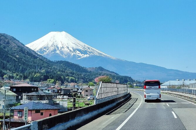 Enjoy Mt. Fuji View and free time shopping at Gotemba Outlets! - Oishi Park at Lake Kawaguchi