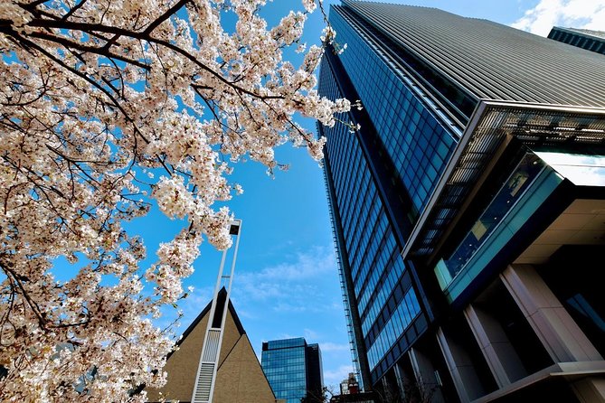 Essential tour for fashion and art in Tokyo for 6 hours with local lunch - Takeshita Street: Tokyo’s youthful style laboratory