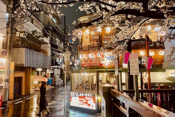 Exciting Evening of Eats in Tokyo - Practical details that affect your night