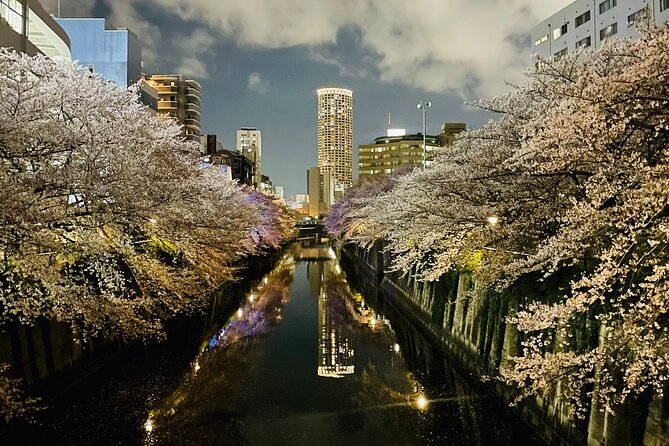 Exciting Evening of Eats in Tokyo