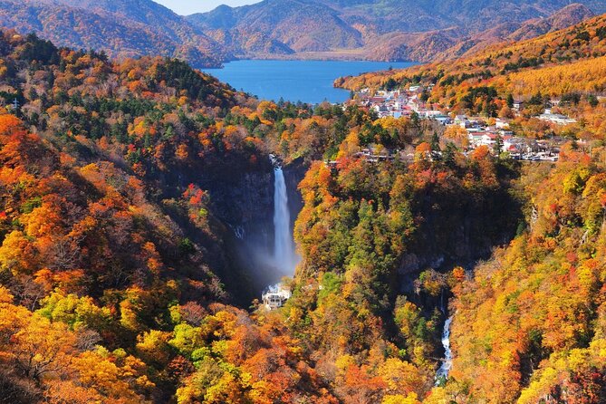 Experience Nature and Culture Private Day Tour in Nikko - Why Nikko works as a Tokyo day trip