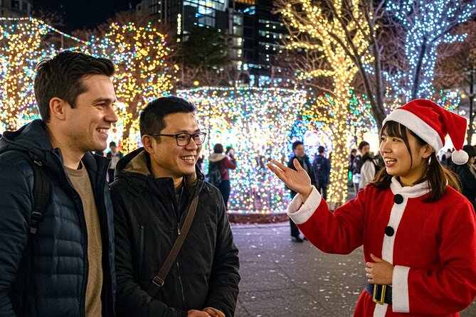Experience the Magic of Christmas in Tokyo - Why a private Christmas drive makes sense in Tokyo
