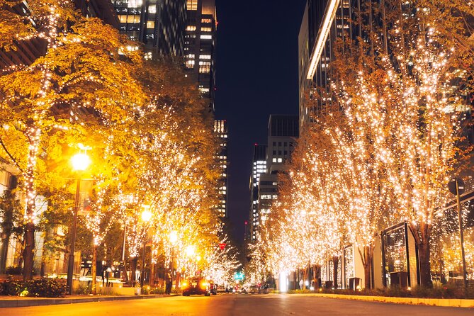 Experience the Magic of Christmas in Tokyo - Shibuya closes with the Blue Grotto