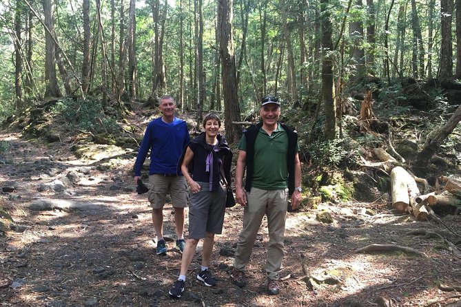 Experience the Stunning Nature of Mt.Fuji - Private Tour - Key points at a glance