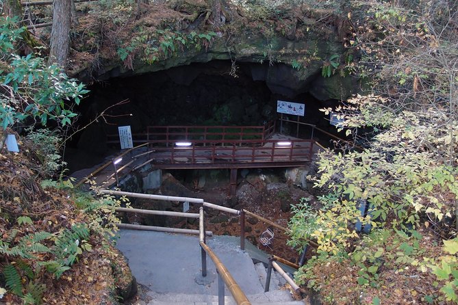 Experience the Stunning Nature of Mt.Fuji - Private Tour - Cycling 2.9 kilometers and visiting Oishi Park