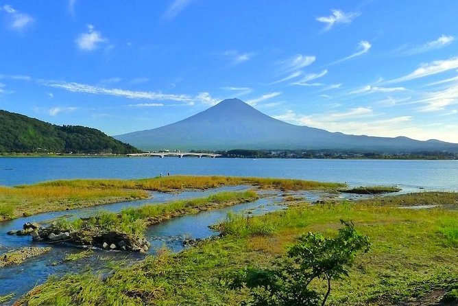 Experience the Stunning Nature of Mt.Fuji - Private Tour - Quiet water at Lake Saiko