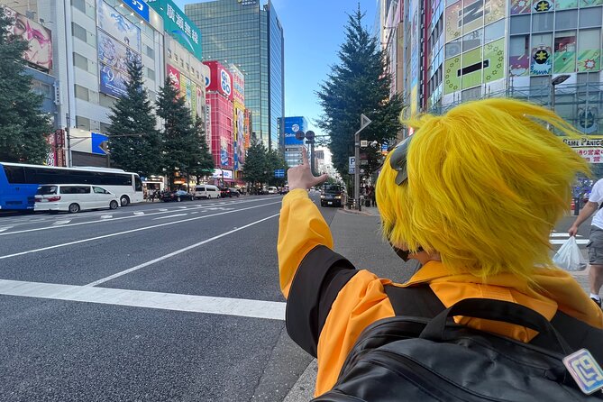 Explore Akihabara with Local Cosplayer Guide(s)! - GiGO: learning the rules of Japanese arcades
